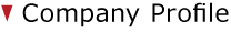 Company Profile